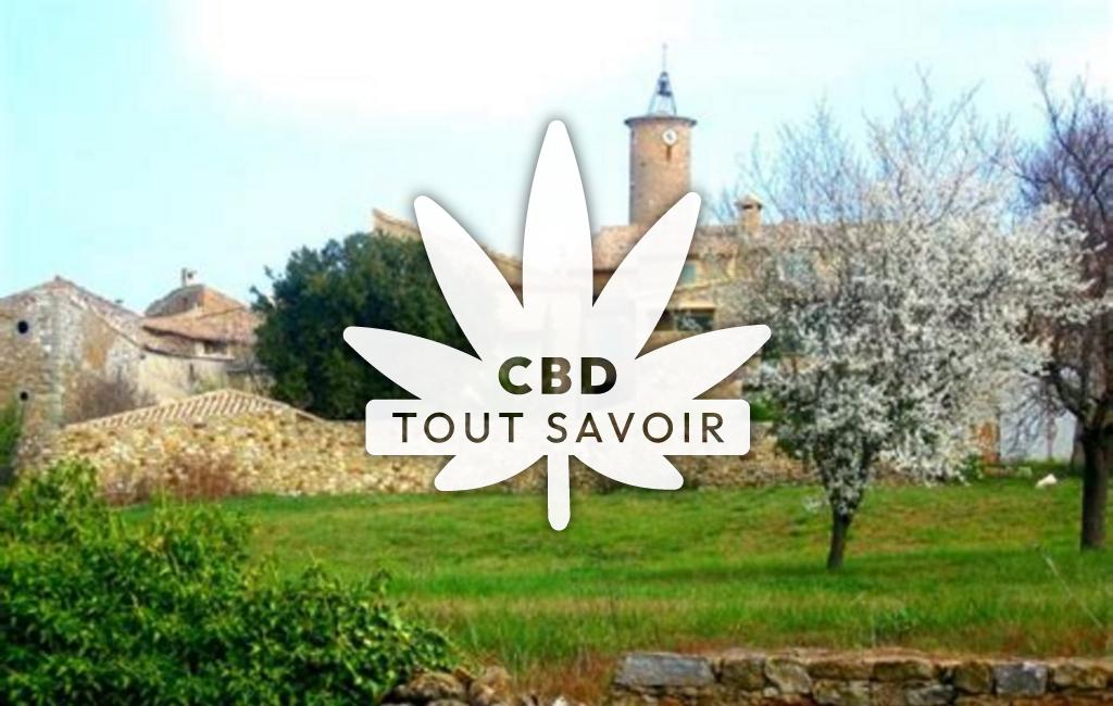 Village à La-Bruguiere avec feuille Cannabis CBD