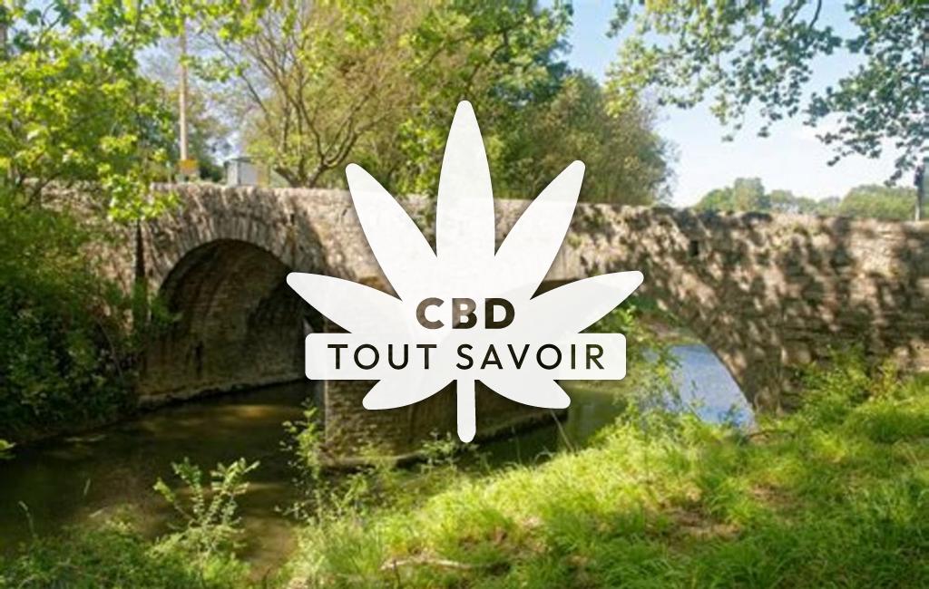 Village à Logrian-Florian avec feuille Cannabis CBD