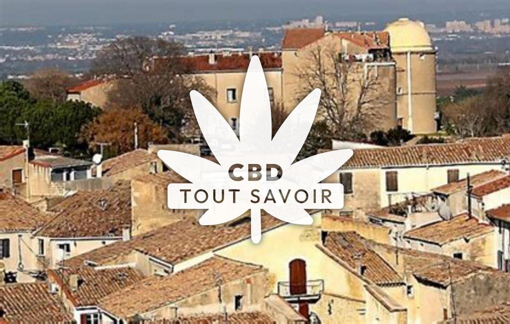Village à Beauvoisin avec feuille Cannabis CBD