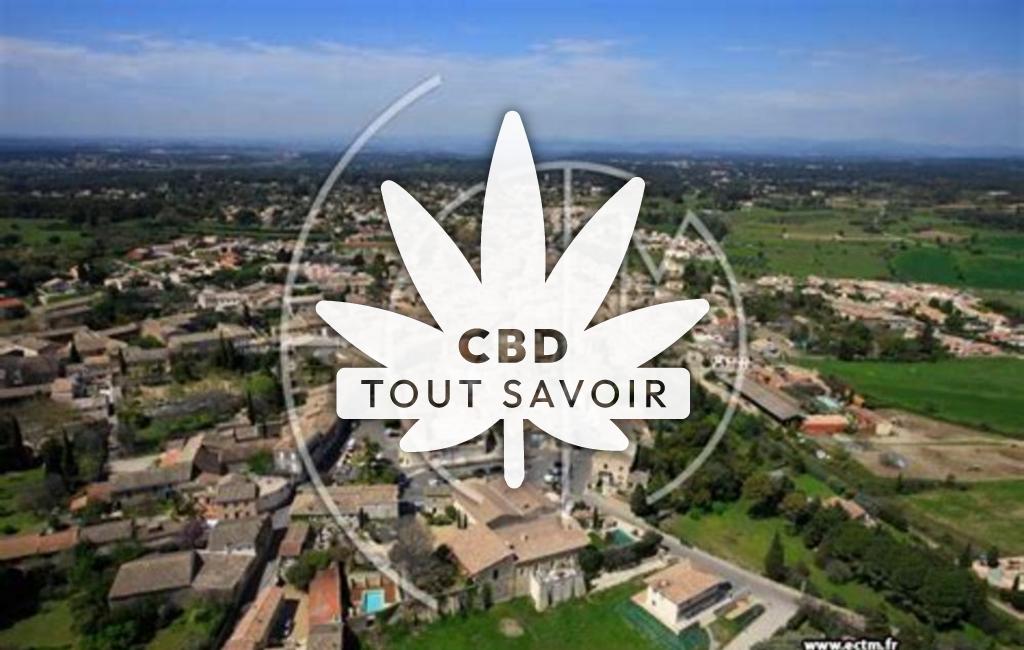 Village à Aigues-Vives avec feuille Cannabis CBD