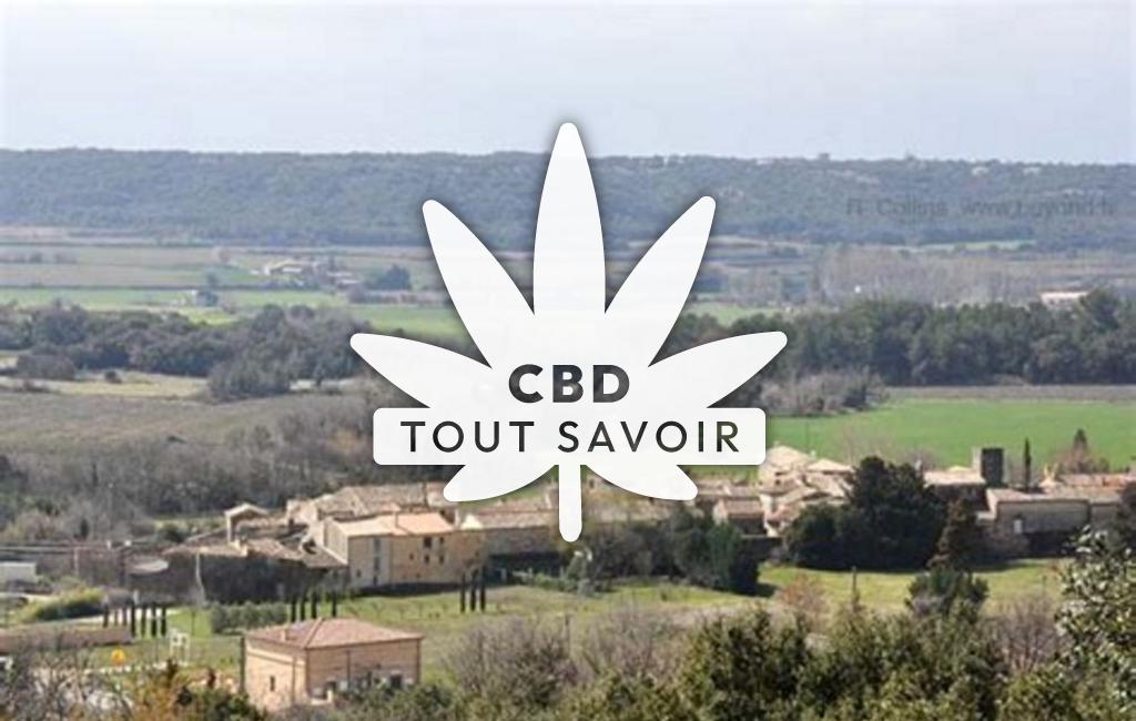 Village à Saint-Hippolyte-de-Montaigu avec feuille Cannabis CBD