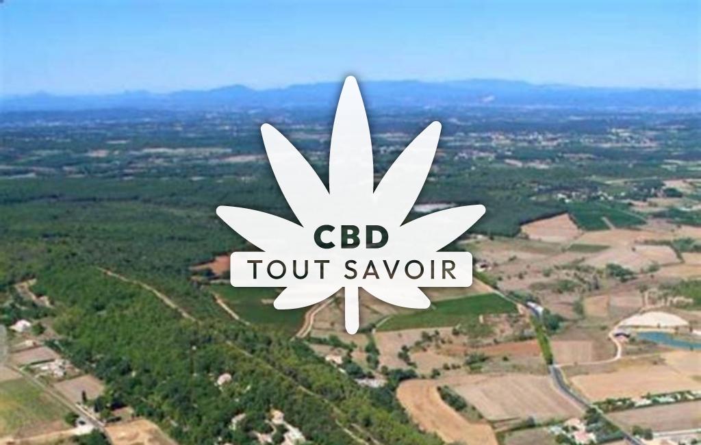 Village à Serviers-Et-Labaume avec feuille Cannabis CBD