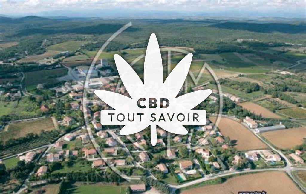 Village à Saint-Bauzely avec feuille Cannabis CBD