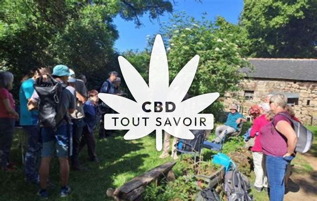 Village à Causse-Begon avec feuille Cannabis CBD