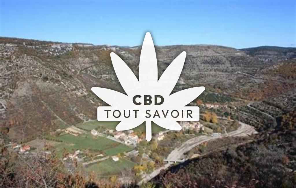 Village à Vissec avec feuille Cannabis CBD