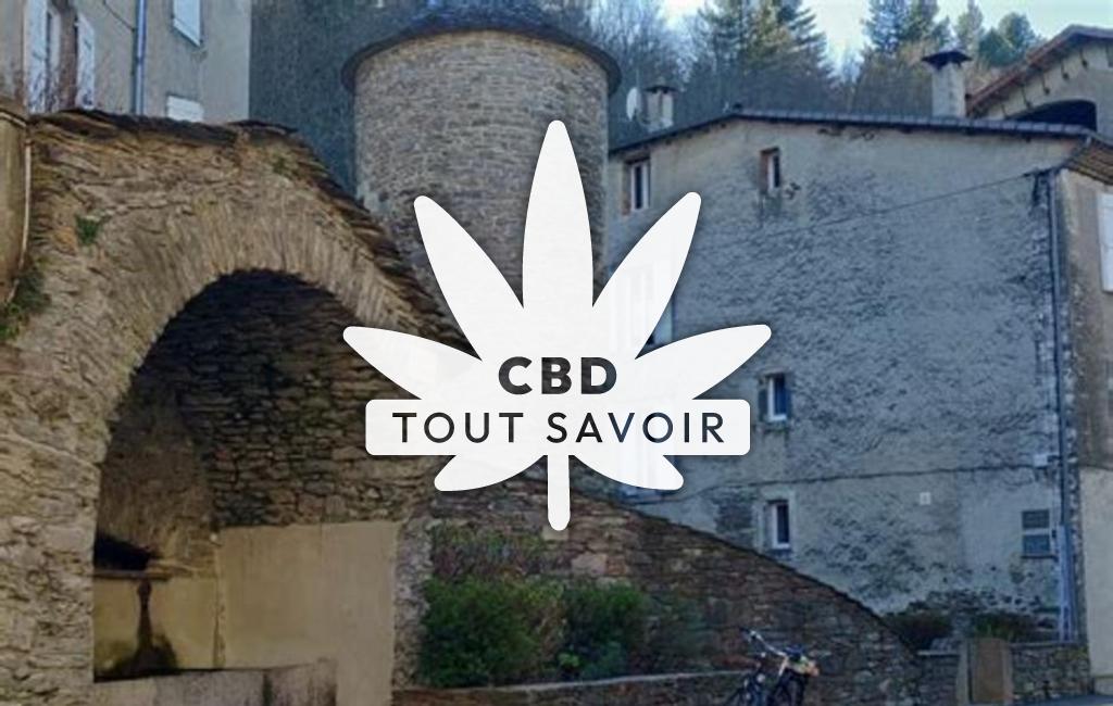 Village à Saint-Andre-de-Valborgne avec feuille Cannabis CBD
