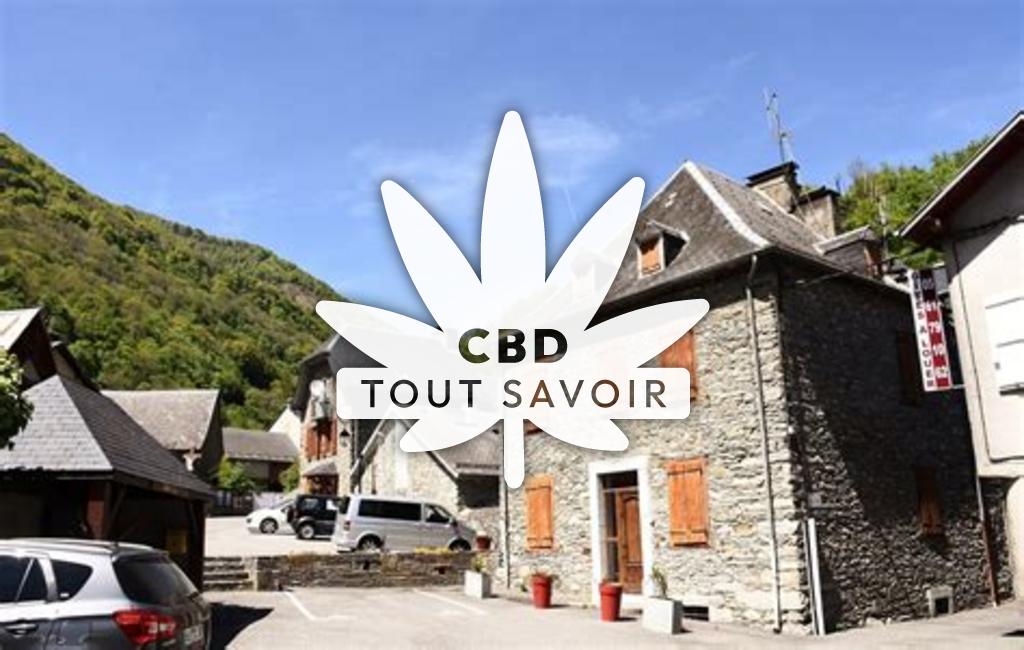 Village à Cier-de-Luchon avec feuille Cannabis CBD