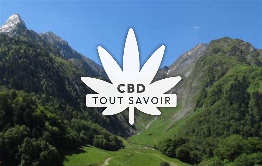 Village à Gouaux-de-Luchon avec feuille Cannabis CBD