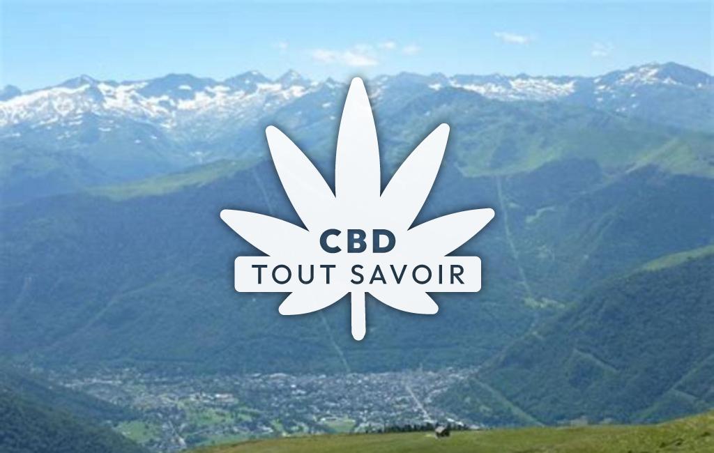 Village à Montauban-de-Luchon avec feuille Cannabis CBD