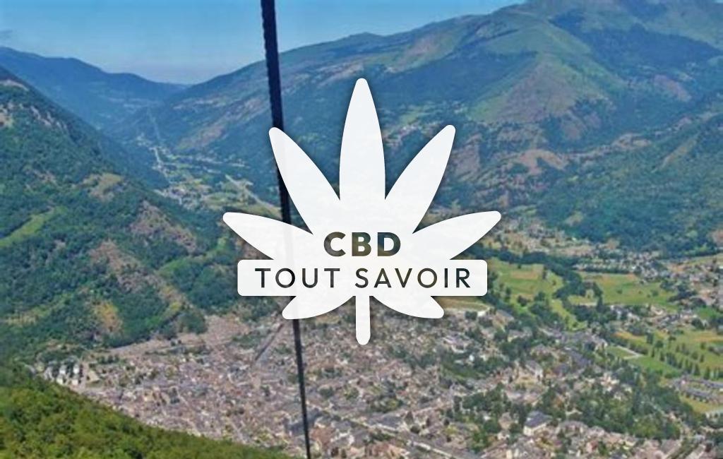Village à Portet-de-Luchon avec feuille Cannabis CBD