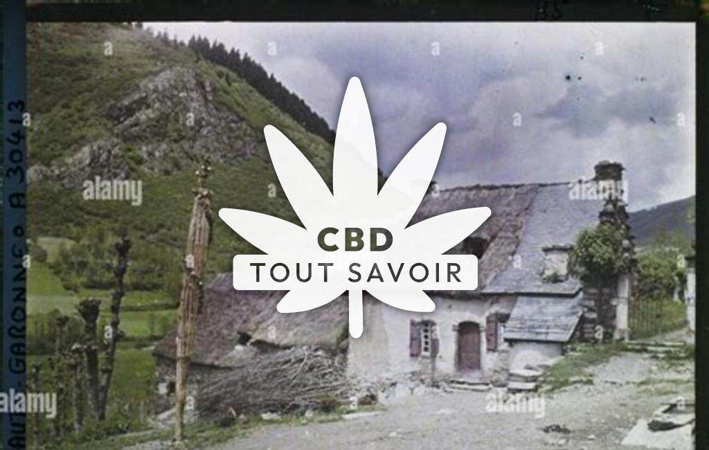 Village à Saint-Paul-D'Oueil avec feuille Cannabis CBD