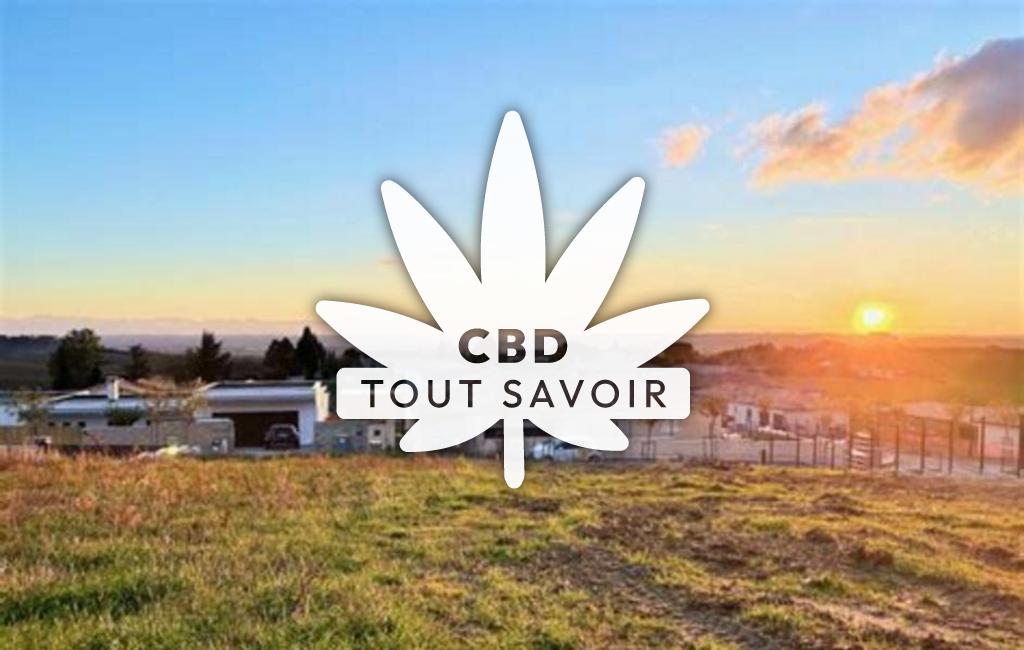 Village à Goyrans avec feuille Cannabis CBD