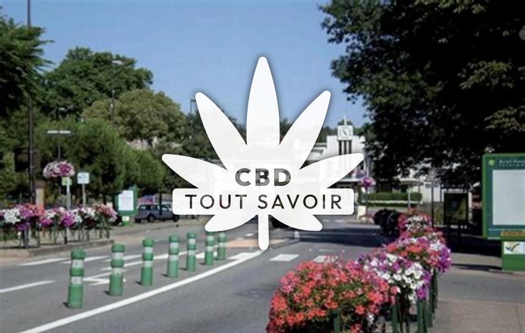 Village à Quint-Fonsegrives avec feuille Cannabis CBD