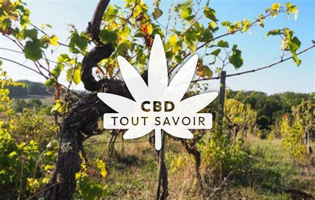 Village à Pechbonnieu avec feuille Cannabis CBD
