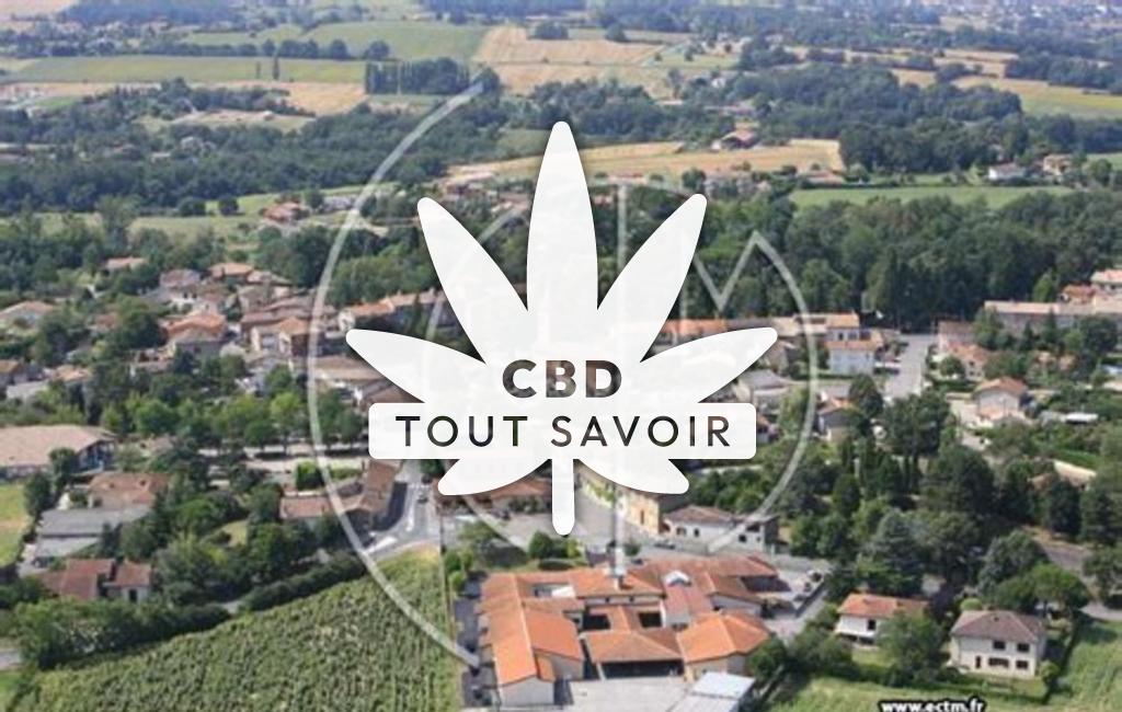 Village à Saint-Loup-Cammas avec feuille Cannabis CBD
