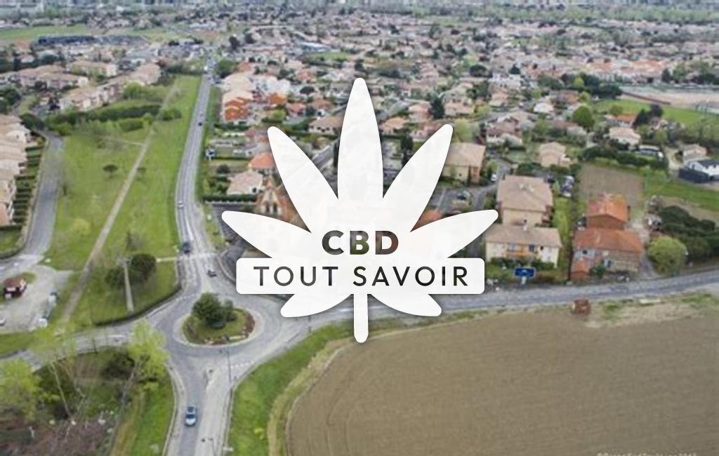 Village à Gagnac-sur-Garonne avec feuille Cannabis CBD