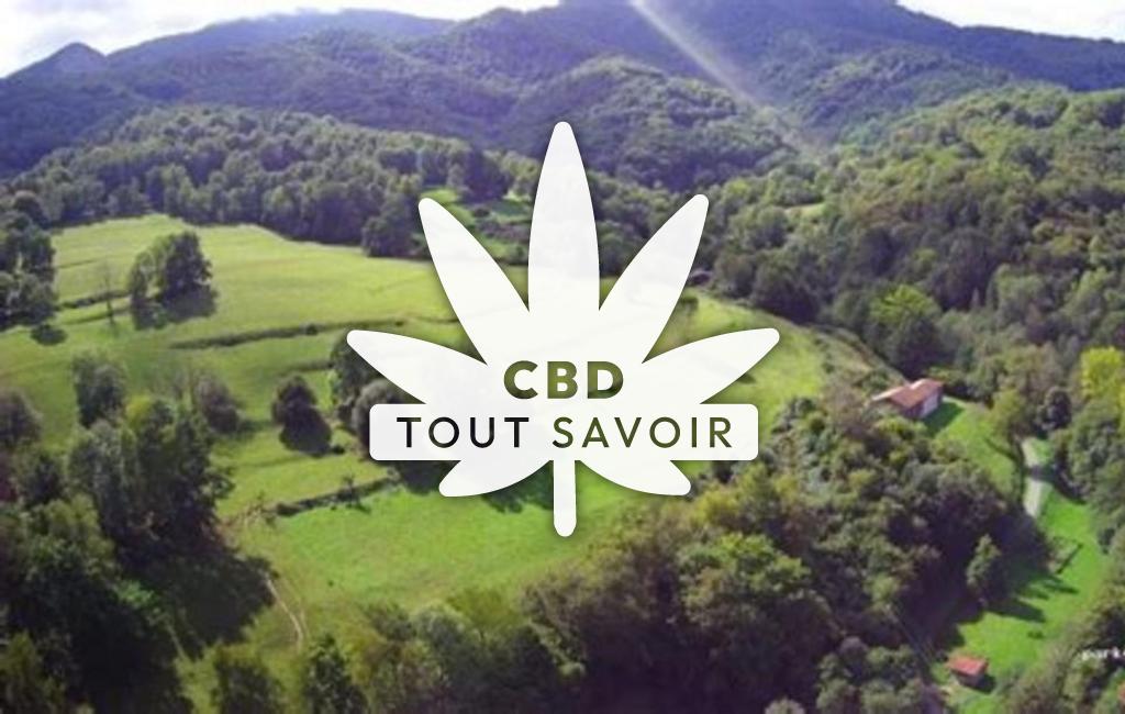 Village à Chein-Dessus avec feuille Cannabis CBD