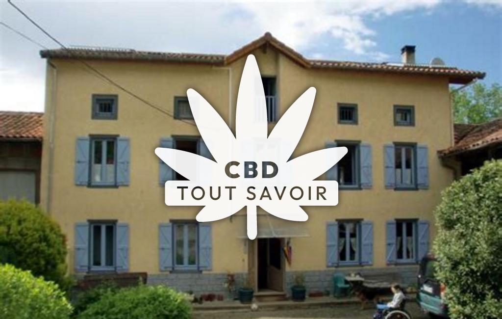 Village à Juzet-D'Izaut avec feuille Cannabis CBD