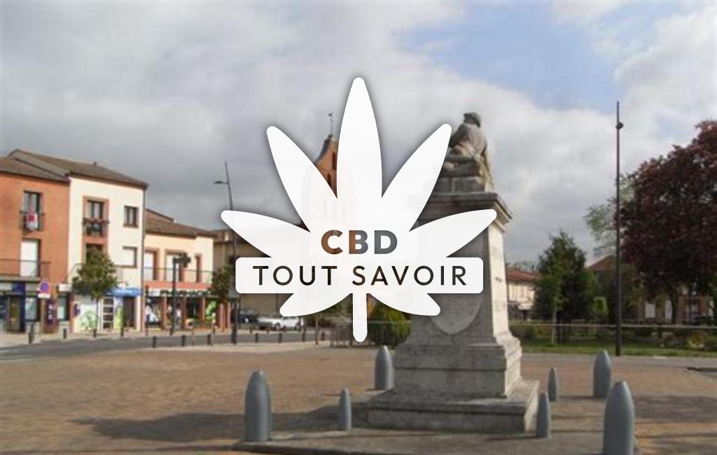 Village à Tournefeuille avec feuille Cannabis CBD