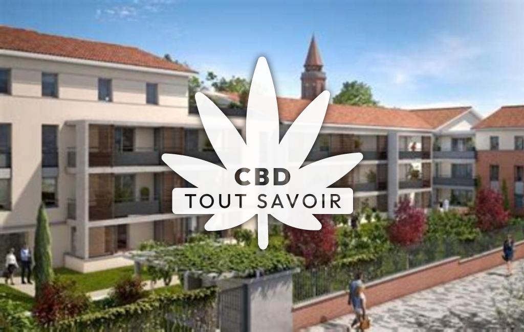 Village à Rouffiac-Tolosan avec feuille Cannabis CBD