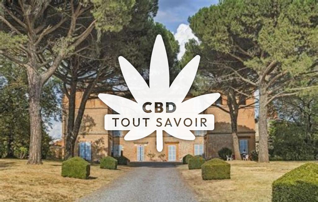 Village à Saint-Genies-Bellevue avec feuille Cannabis CBD