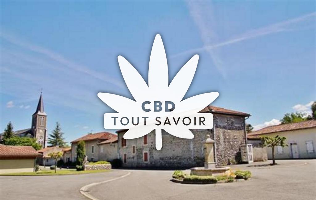 Village à Pointis-de-Riviere avec feuille Cannabis CBD