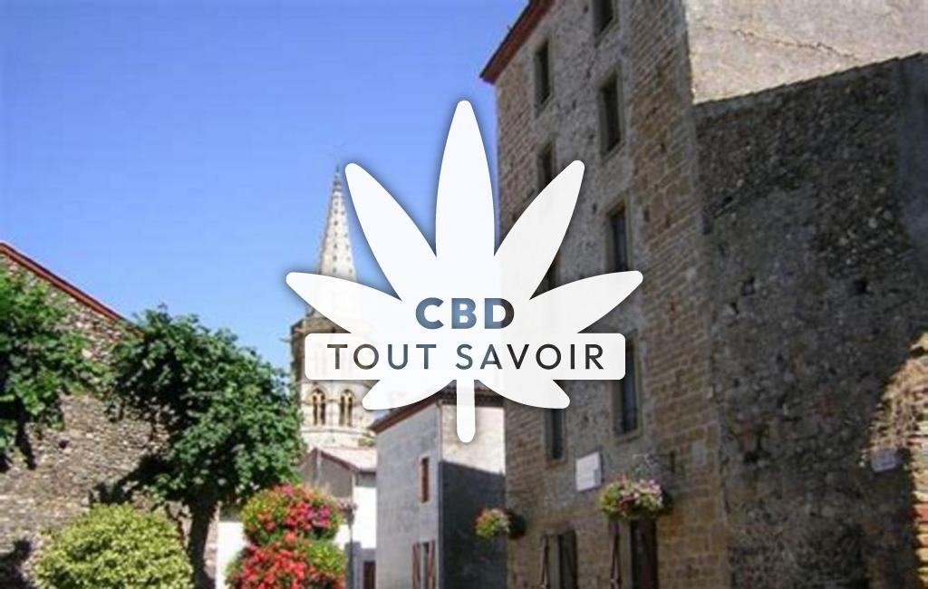 Village à Martres-Tolosane avec feuille Cannabis CBD