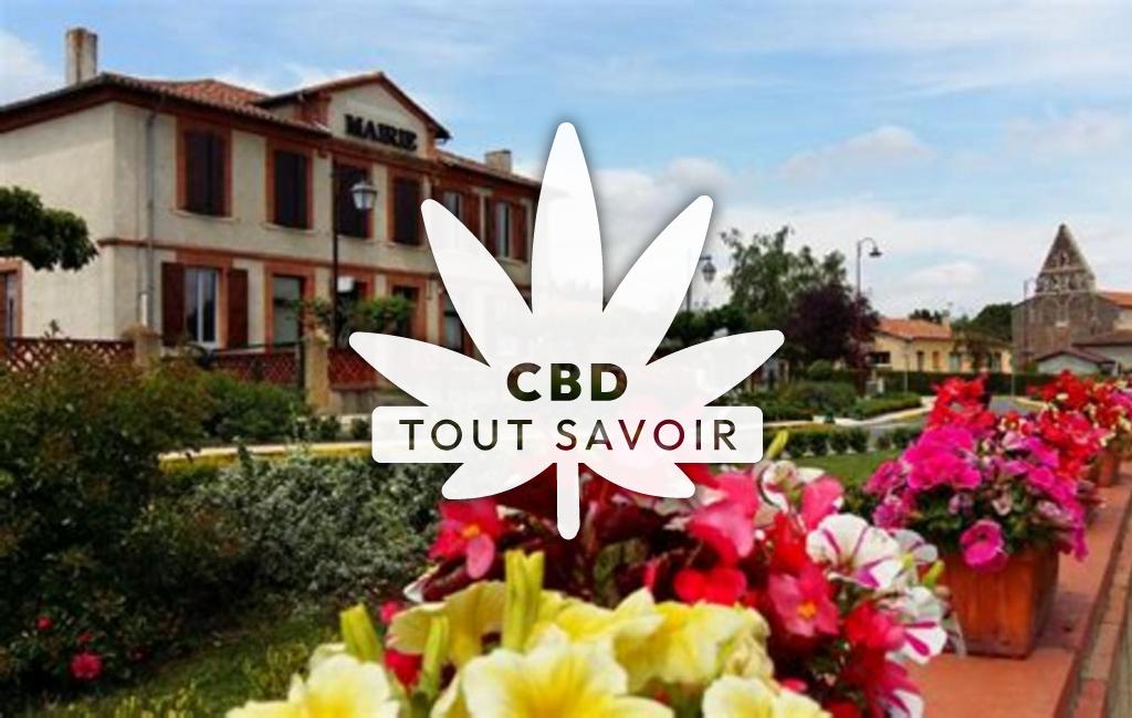 Village à Mondavezan avec feuille Cannabis CBD