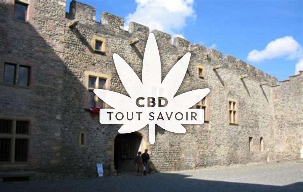 Village à Palaminy avec feuille Cannabis CBD