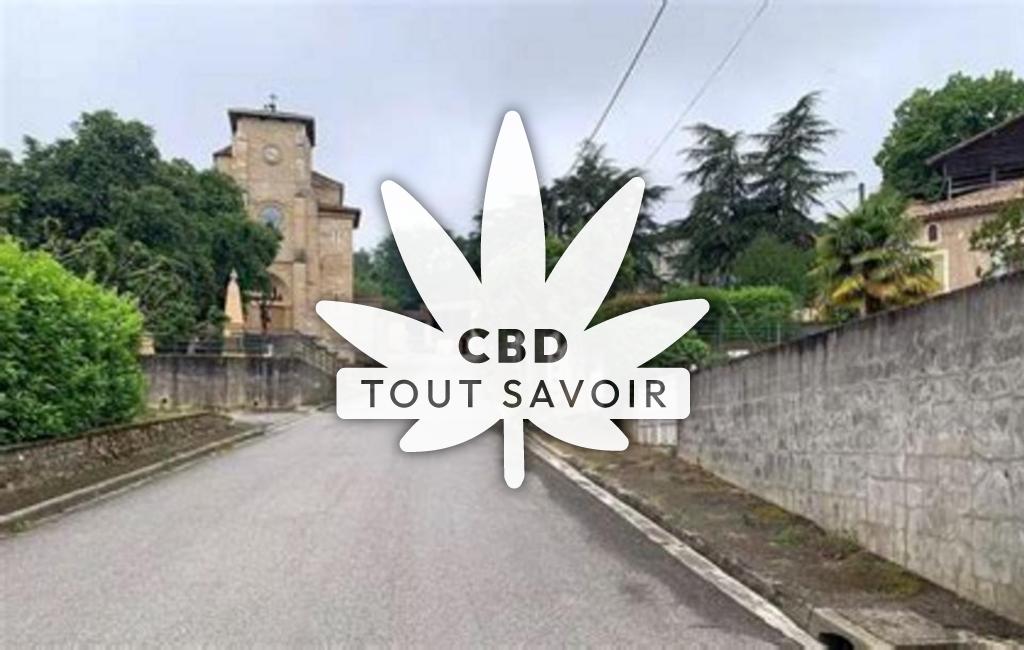 Village à Saint-Michel avec feuille Cannabis CBD