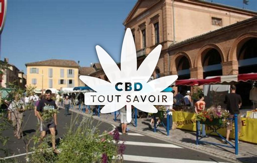 Village à L'Isle-en-Dodon avec feuille Cannabis CBD