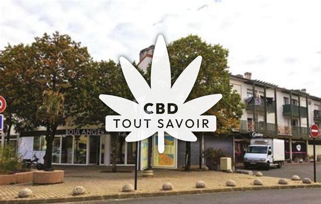 Village à Montesquieu-Guittaut avec feuille Cannabis CBD