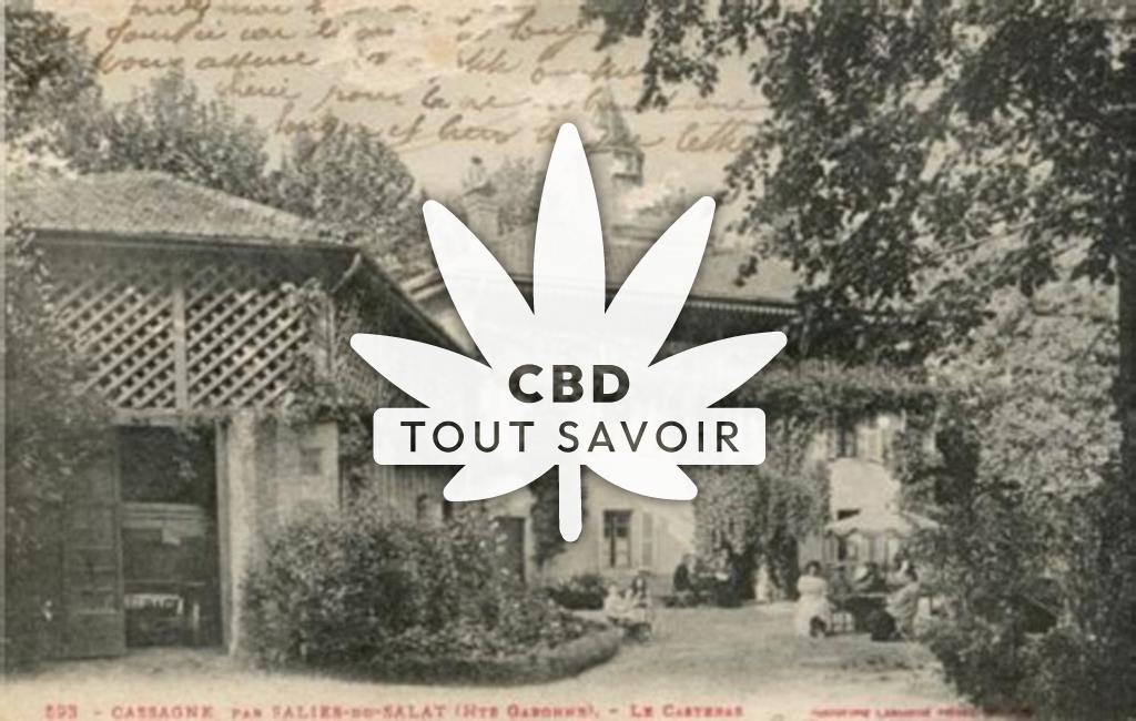 Village à Cassagne avec feuille Cannabis CBD