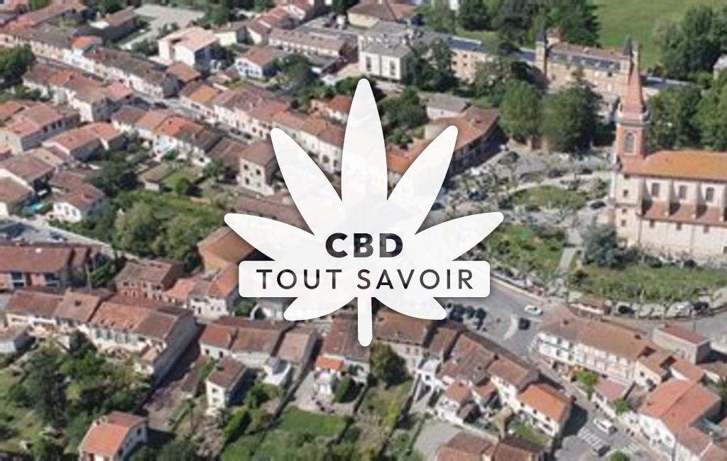 Village à Francazal avec feuille Cannabis CBD
