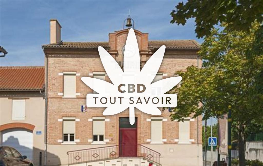 Village à Touille avec feuille Cannabis CBD