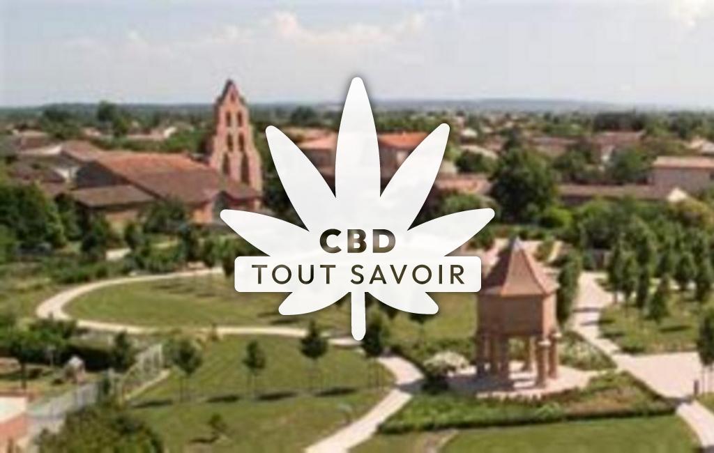 Village à Frouzins avec feuille Cannabis CBD