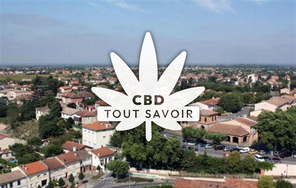 Village à Villeneuve-Tolosane avec feuille Cannabis CBD