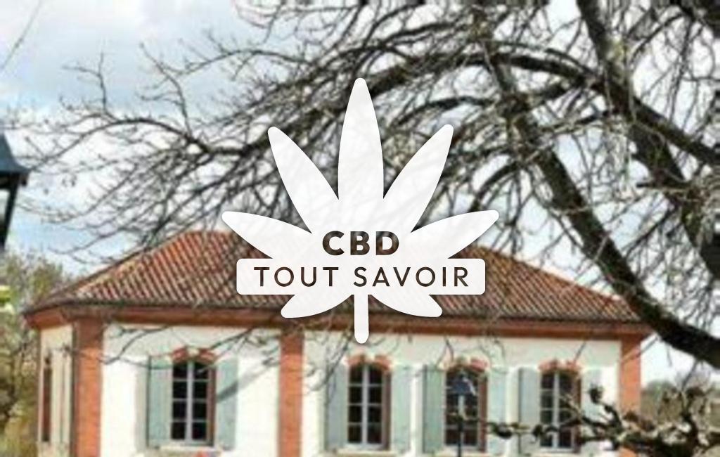 Village à Trebons-sur-la-Grasse avec feuille Cannabis CBD