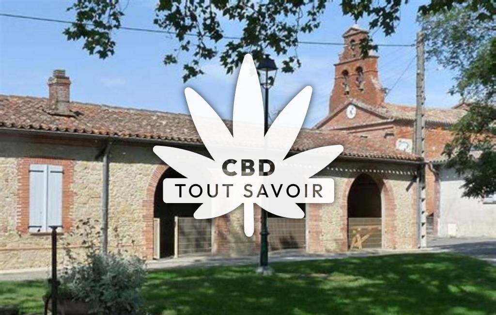 Village à Vieillevigne avec feuille Cannabis CBD