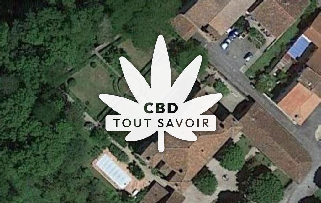 Village à Gensac-sur-Garonne avec feuille Cannabis CBD