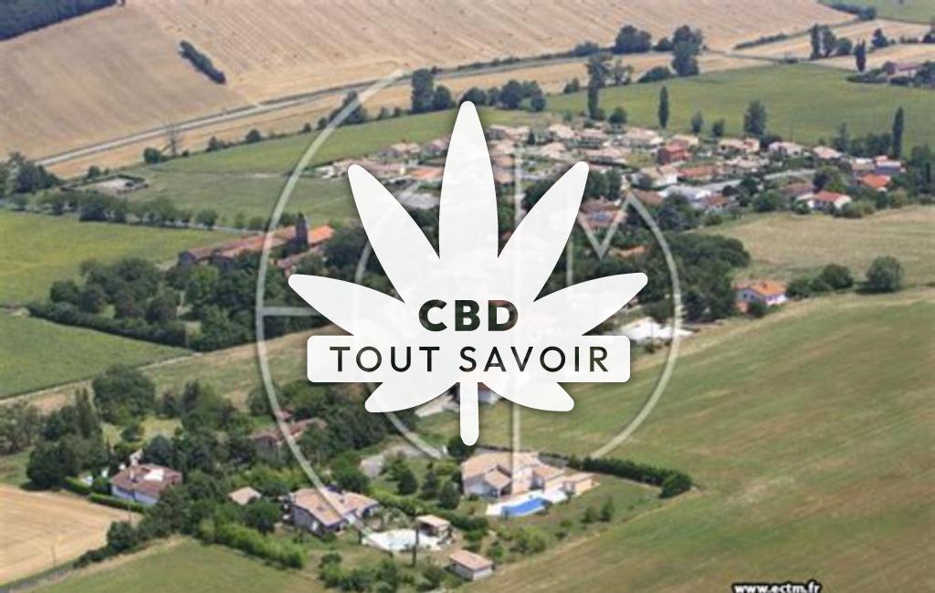 Village à Aureville avec feuille Cannabis CBD