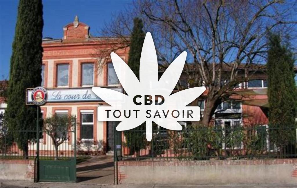 Village à Mirepoix-sur-Tarn avec feuille Cannabis CBD