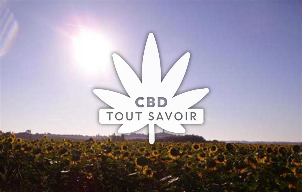 Village à Vacquiers avec feuille Cannabis CBD