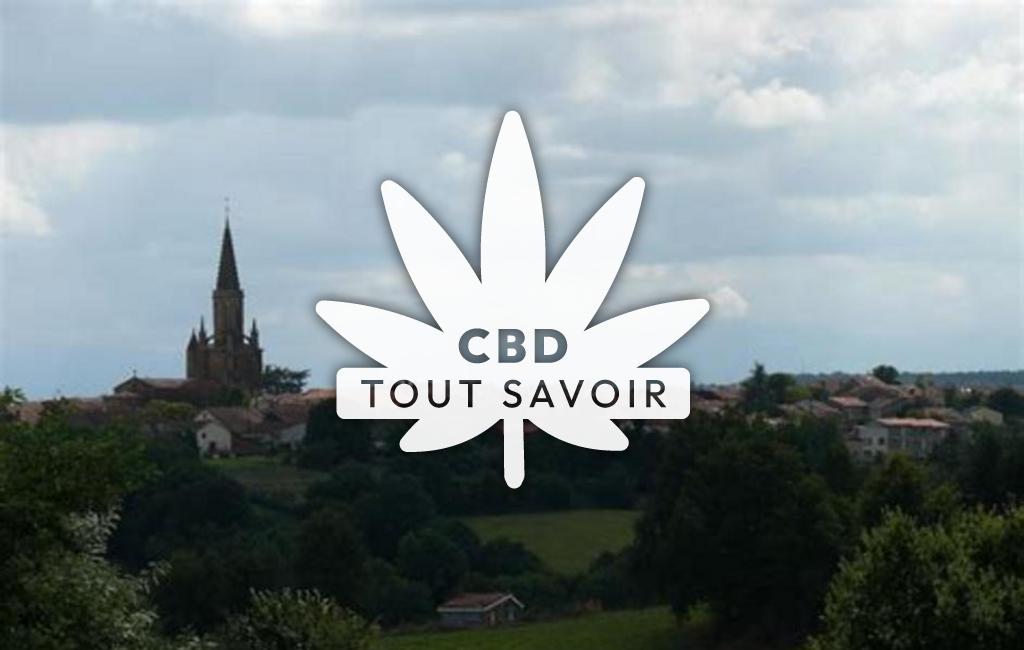 Village à Boulogne-sur-Gesse avec feuille Cannabis CBD