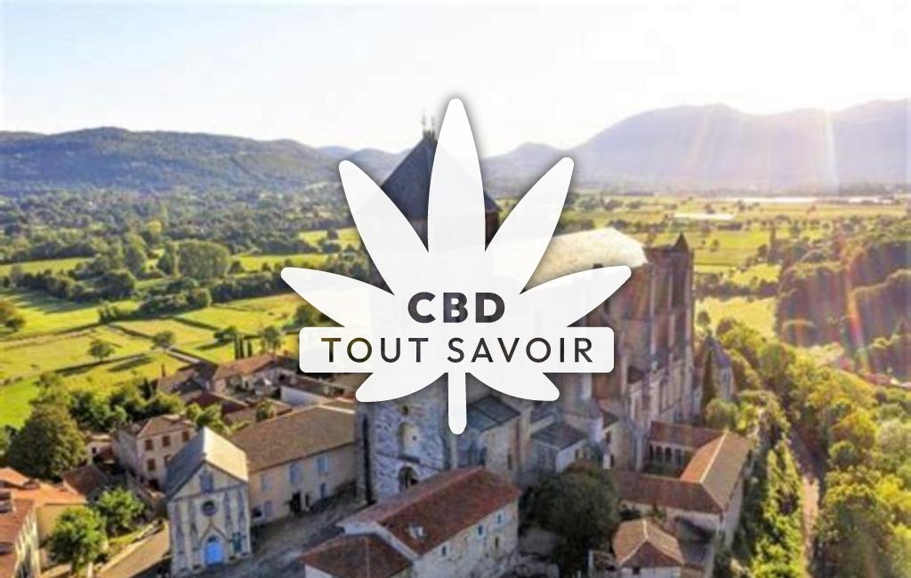 Village à Saint-Ferreol-de-Comminges avec feuille Cannabis CBD