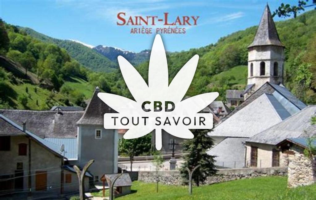 Village à Saint-Lary-Boujean avec feuille Cannabis CBD