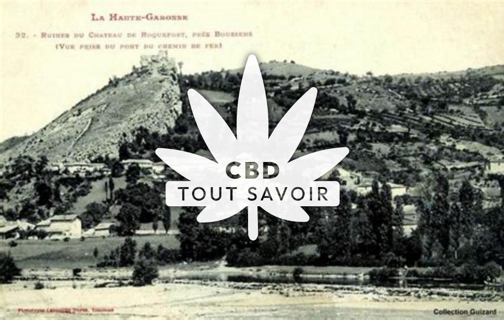 Village à Roquefort-sur-Garonne avec feuille Cannabis CBD