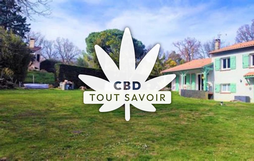 Village à Le-Pin-Murelet avec feuille Cannabis CBD