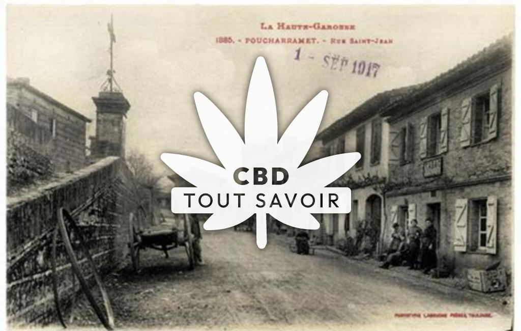 Village à Poucharramet avec feuille Cannabis CBD