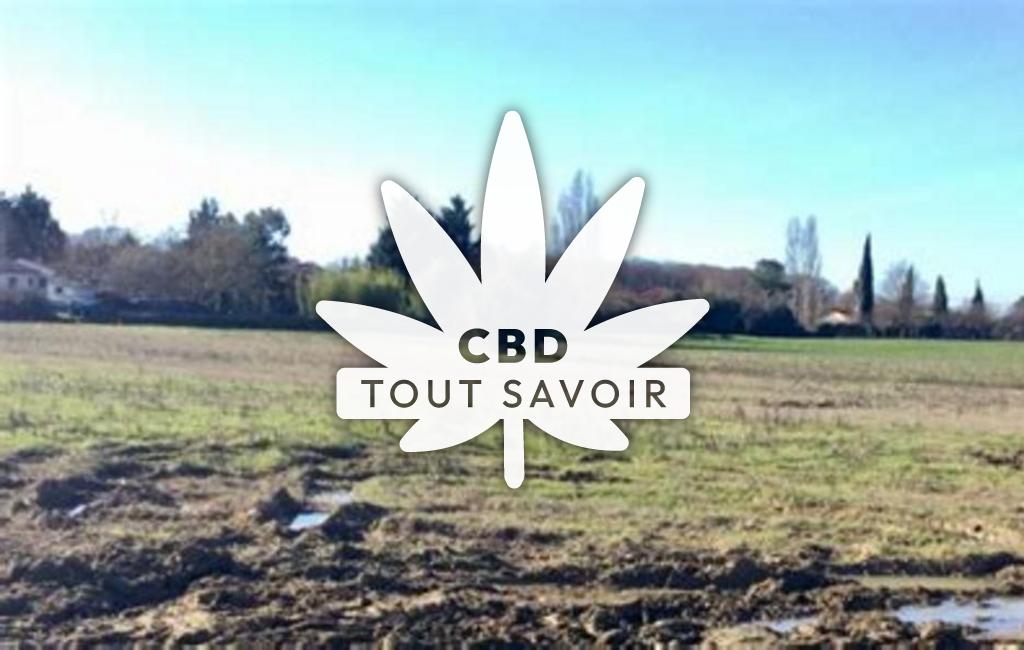 Village à Roqueseriere avec feuille Cannabis CBD